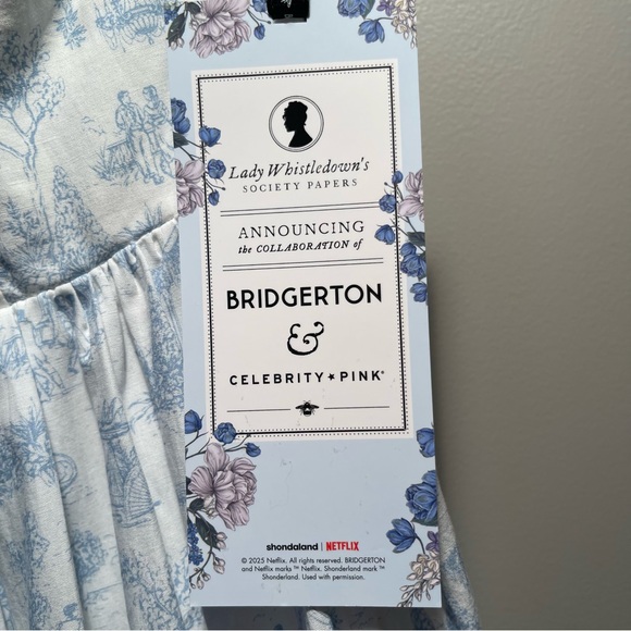 Celebrity Pink Bridgerton Blue and White Midi Dress NWT Lg - Picture 3 of 16